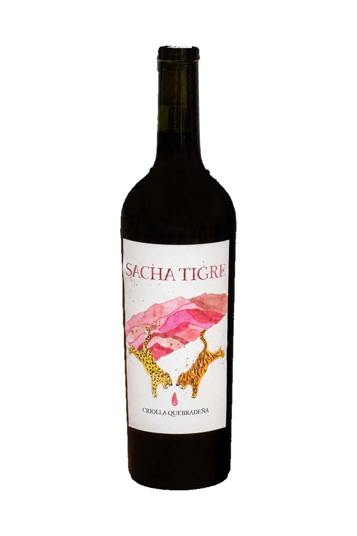 Sacha Tigre Bodega Kindgard